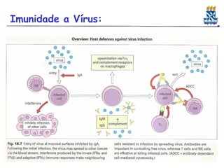 Imunidade a Vírus:

 
