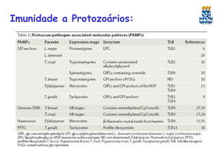 Imunidade a Protozoários:

 