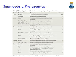 Imunidade a Protozoários:

 