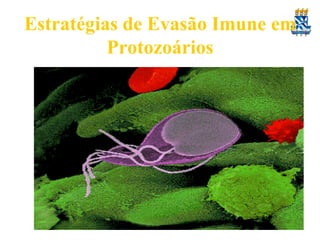 Estratégias de Evasão Imune em
Protozoários
3. Variação antigênica.

•

Em Plasmodium, diferentes estágios do ciclo de
vida do parasito expressam diferentes antígenos

•

Variação antigênica também no protozoário
extracelular Giardia lamblia.

 