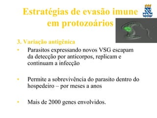 Estratégias de evasão imune
em protozoários
3. Variação antigênica
• Parasitos expressando novos VSG escapam
da detecção por anticorpos, replicam e
continuam a infecção

•

Permite a sobrevivência do parasito dentro do
hospedeiro – por meses a anos

•

Mais de 2000 genes envolvidos.

 