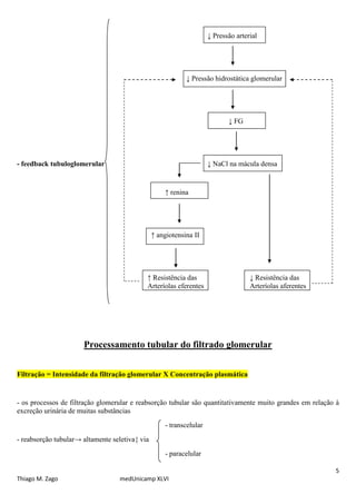 ↓ Pressão arterial




                                                            ↓ Pressão hidrostática glomerular




                                                                            ↓ FG




- feedback tubuloglomerular                                          ↓ NaCl na mácula densa


                                                    ↑ renina




                                                ↑ angiotensina II




                                            ↑ Resistência das                       ↓ Resistência das
                                            Arteríolas eferentes                    Arteríolas aferentes




                      Processamento tubular do filtrado glomerular


Filtração = Intensidade da filtração glomerular X Concentração plasmática


- os processos de filtração glomerular e reabsorção tubular são quantitativamente muito grandes em relação à
excreção urinária de muitas substâncias
                                                    - transcelular
- reabsorção tubular→ altamente seletiva{ via
                                                    - paracelular

                                                                                                           5
Thiago M. Zago                     medUnicamp XLVI
 