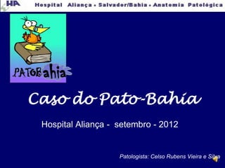 ahia
Caso do Pato-Bahia
 Hospital Aliança - setembro - 2012


                    Patologista: Celso Rubens Vieira e Silva
 