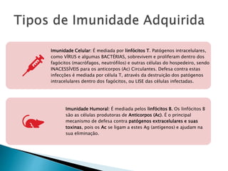Imunidade Celular: É mediada por linfócitos T. Patógenos intracelulares,
como VÍRUS e algumas BACTÉRIAS, sobrevivem e proliferam dentro dos
fagócitos (macrófagos, neutrófilos) e outras células do hospedeiro, sendo
INACESSÍVEIS para os anticorpos (Ac) Circulantes. Defesa contra estas
infecções é mediada por célula T, através da destruição dos patógenos
intracelulares dentro dos fagócitos, ou LISE das células infectadas.
Imunidade Humoral: É mediada pelos linfócitos B. Os linfócitos B
são as células produtoras de Anticorpos (Ac). É o principal
mecanismo de defesa contra patógenos extracelulares e suas
toxinas, pois os Ac se ligam a estes Ag (antígenos) e ajudam na
sua eliminação.
 