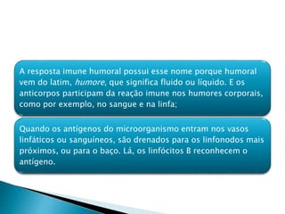 A resposta imune humoral possui esse nome porque humoral
vem do latim, humore, que significa fluido ou líquido. E os
anticorpos participam da reação imune nos humores corporais,
como por exemplo, no sangue e na linfa;
Quando os antígenos do microorganismo entram nos vasos
linfáticos ou sanguíneos, são drenados para os linfonodos mais
próximos, ou para o baço. Lá, os linfócitos B reconhecem o
antígeno.
 