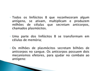 ◦ Todos os linfócitos B que reconheceram algum
antígeno, se ativam, multiplicam e produzem
milhões de células que secretam anticorpos,
chamados plasmócitos.
◦ Uma parte dos linfócitos B se transformam em
células de memória;
◦ Os milhões de plasmócitos secretam bilhões de
anticorpos no sangue. Os anticorpos possuem dois
mecanismos efetores, para ajudar no combate ao
antígeno:
 