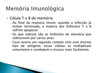  Célula T e B de memória
◦ Ao final da resposta imune, quando a infecção já
estiver terminada, a maioria dos linfócitos T e B
sofrem apoptose
◦ Os que sobram são os linfócitos de memória que
sobrevivem por vários anos.
◦ Caso ocorra um segundo contato com este mesmo
tipo de antígeno, essas células se multiplicam
velozmente e combatem o invasor mais facilmente
 
