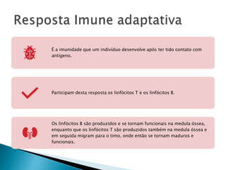 É a imunidade que um indivíduo desenvolve após ter tido contato com
antígeno.
Participam desta resposta os linfócitos T e os linfócitos B.
Os linfócitos B são produzidos e se tornam funcionais na medula óssea,
enquanto que os linfócitos T são produzidos também na medula óssea e
em seguida migram para o timo, onde então se tornam maduros e
funcionais.
 
