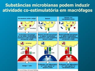 Substâncias microbianas podem induzir atividade co-estimulatória em macrófagos 