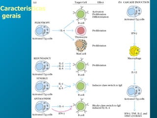 Caracteristicas gerais 