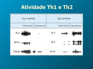 Atividade Th1 e Th2 