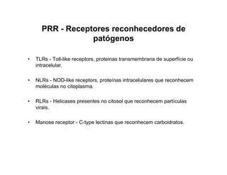 PRR - Receptores reconhecedores de
patógenos
• TLRs - Toll-like receptors, proteinas transmembrana de superfície ou
intracelular.
• NLRs - NOD-like receptors, proteínas intracelulares que reconhecem
moléculas no citoplasma.
• RLRs - Helicases presentes no citosol que reconhecem partículas
virais.
• Manose receptor - C-type lectinas que reconhecem carboidratos.
 