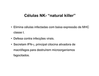 Células NK- “natural killer”

• Elimina células infectadas com baixa expressão de MHC
 classe I.

• Defesa contra infecções virais.
• Secretam IFN-γ, principal citocina ativadora de
 macrófagos para destruírem microorganismos
 fagocitados.
 