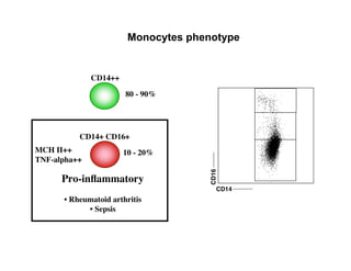 Monocytes phenotype


              CD14++

                       80 - 90%




          CD14+ CD16+
MCH II++               10 - 20%
TNF-alpha++




                                      CD16
      Pro-inﬂammatory
                                         CD14
      • Rheumatoid arthritis
            • Sepsis
 