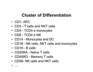 Cluster of Differentiation
•   CD1- APC
•   CD3 - T cells and NKT cells
•   CD4 - TCD4 e monocytes
•   CD8 - TCD4 e NK
•   CD14 - Monocytes and DC
•   CD16 - NK cells, NKT cells and monocytes
•   CD19 - B cells
•   CD45RA - Naïve T cells
•   CD45RO - Memory T cells
•   CD56- NK cells and NKT cells
•   …
 