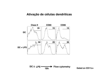 Ativação de células dendríticas


           Class II         CD80         CD86
                  35               19           15

    DC



                      50           29           36

DC + LPS




           DC ± LPS                 Flow cytometry
                           18h                       Gated on CD11c+
 