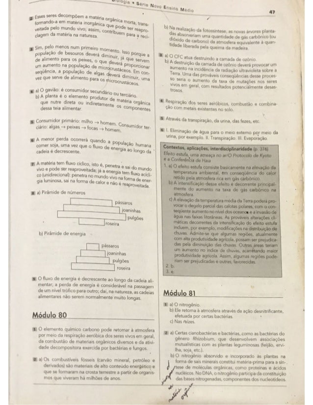 Respostas Ciclos Biogeoquimicos