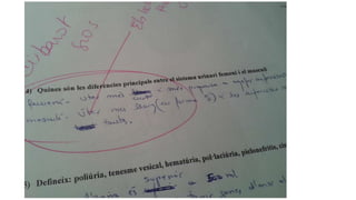 Respostes d'exàmens