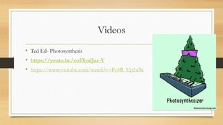 Videos
• Ted Ed- Photosynthesis
• https://youtu.be/eo5XndJaz-Y
• https://www.youtube.com/watch?v=Py4R_Up2uBc
 