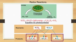 Redox Reactions
Equation for photosynthesis
6 CO2 + 6 H2O + light energy → C6H12O6 + 6 O2
 