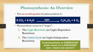 Photosynthesis: An Overview
• The net overall equation for photosynthesis is:
• Photosynthesis occurs in 2 “stages”:
1. The Light Reactions (or Light-Dependent
Reactions)
2. The Calvin Cycle (or Light-Independent
Reactions)
5
6 CO2 + 6 H2O C6H12O6 + 6 O2
light
Is photosynthesis an ENDERGONIC
(ender means in) or EXERGONIC
(exer –means out) reaction?
 