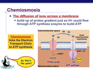 The diffusion of ions across a membrane build up of proton gradient just so H+ could flow through ATP synthase enzyme to build ATP Chemiosmosis Chemiosmosis  links the Electron Transport Chain to ATP synthesis So that’s the point ! 