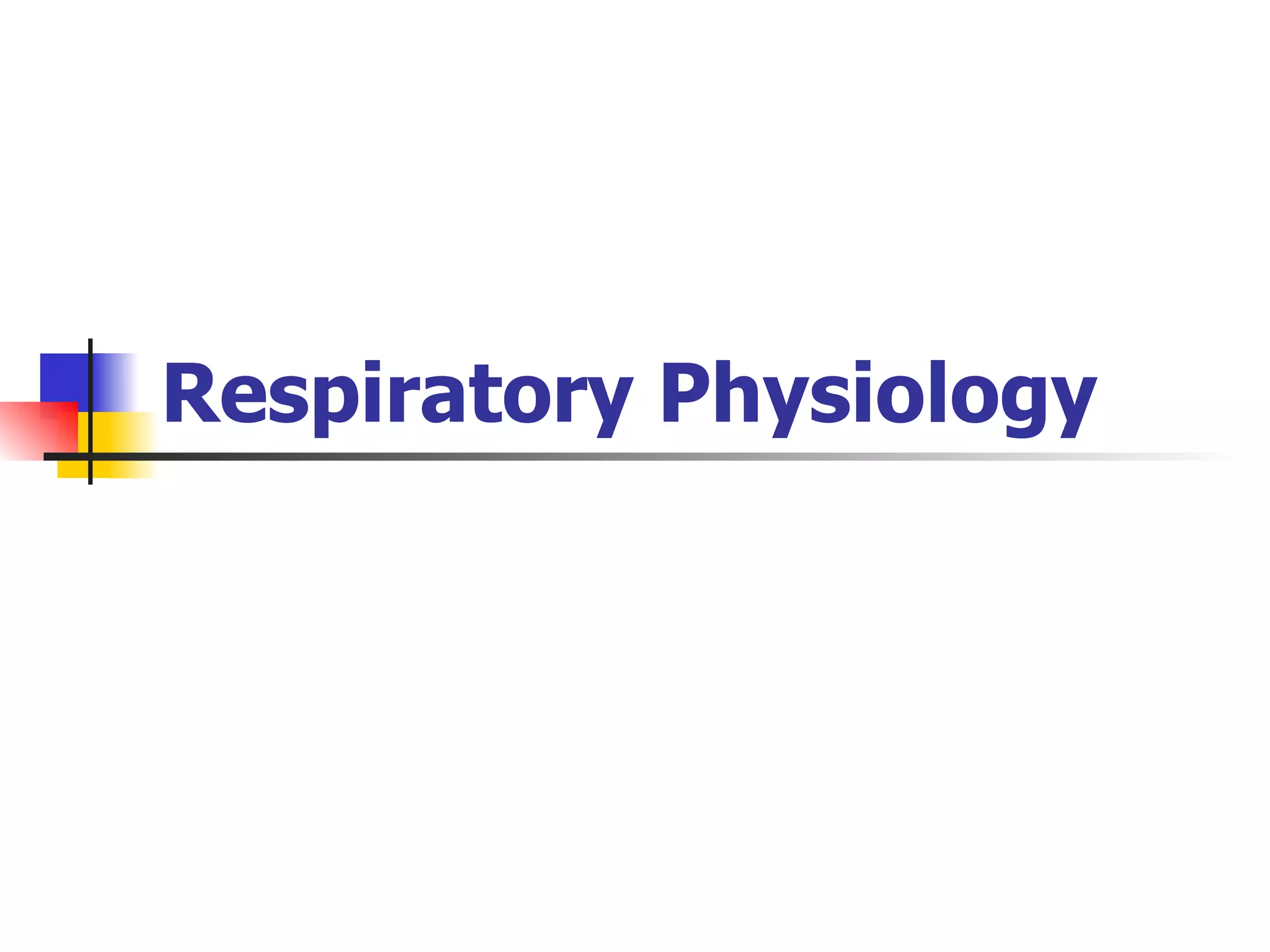 Respiratory Physiology 