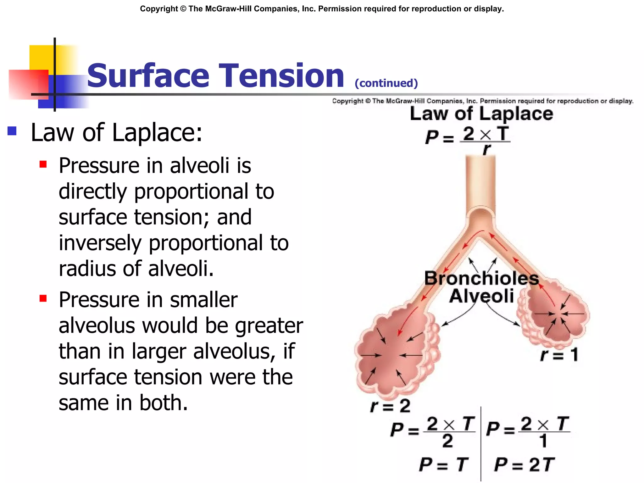 Surface Tension  (continued) Law of Laplace: Pressure in alveoli is directly proportional to surface tension; and inversely proportional to radius of alveoli. Pressure in smaller alveolus would be greater than in larger alveolus, if surface tension were the same in both. Insert fig. 16.11 