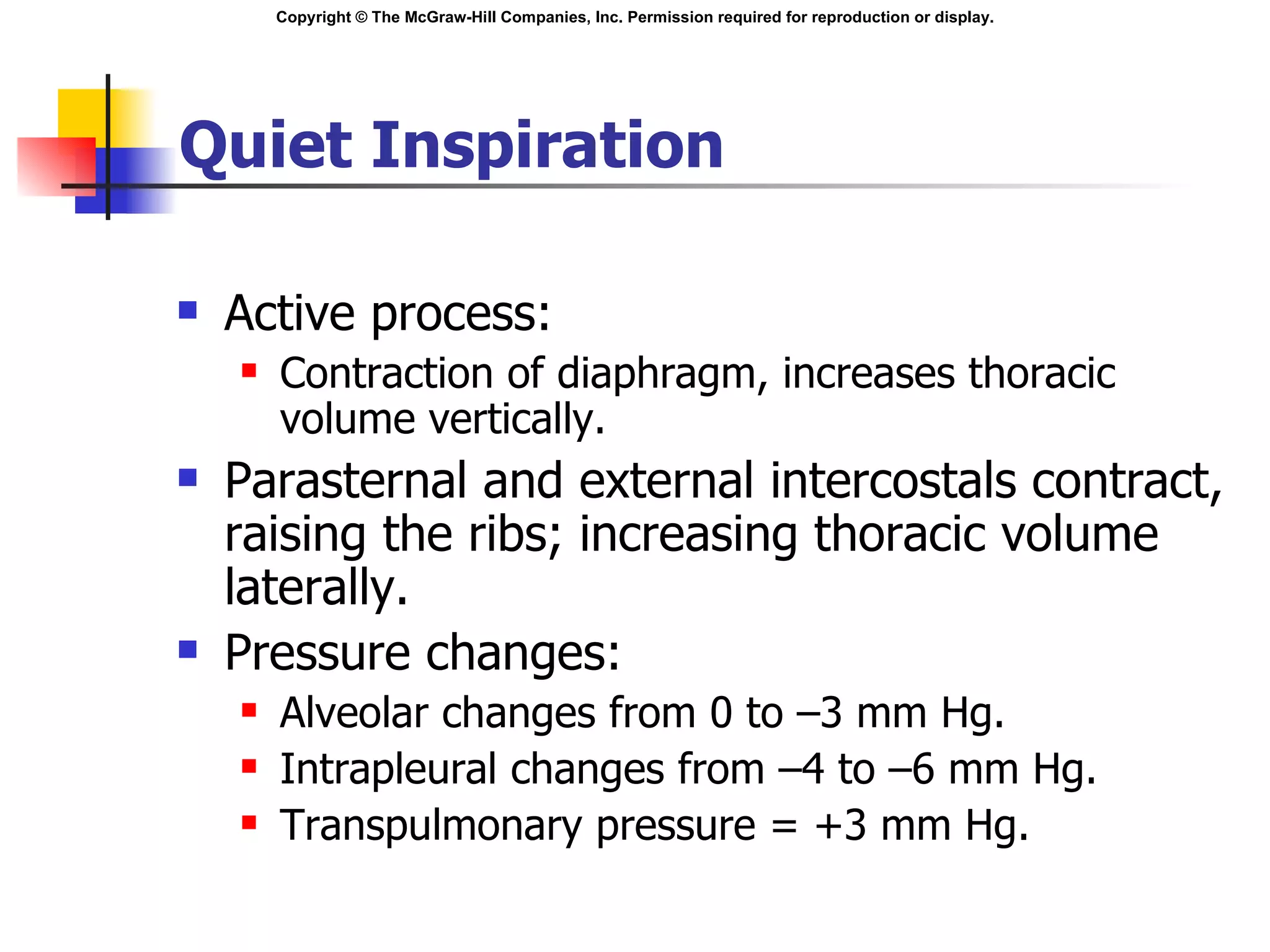 Quiet Inspiration Active process: Contraction of diaphragm, increases thoracic volume vertically. Parasternal and external intercostals contract, raising the ribs; increasing thoracic volume laterally. Pressure changes: Alveolar changes from 0 to –3 mm Hg. Intrapleural changes from –4 to –6 mm Hg. Transpulmonary pressure = +3 mm Hg. 