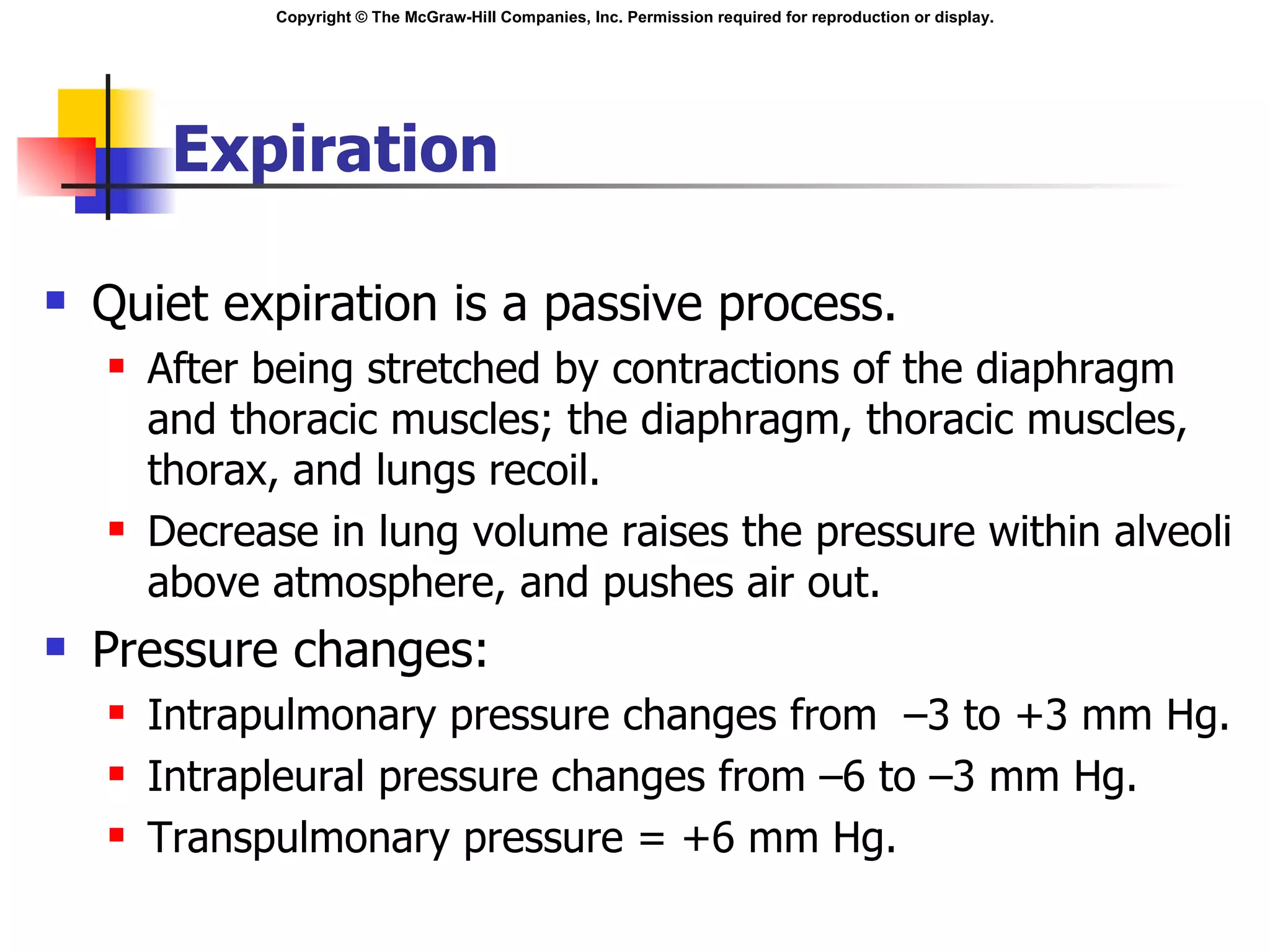 Expiration Quiet expiration is a passive process. After being stretched by contractions of the diaphragm and thoracic muscles; the diaphragm, thoracic muscles, thorax, and lungs recoil. Decrease in lung volume raises the pressure within alveoli above atmosphere, and pushes air out. Pressure changes: Intrapulmonary pressure changes from  –3 to +3 mm Hg. Intrapleural pressure changes from –6 to –3 mm Hg. Transpulmonary pressure = +6 mm Hg. 