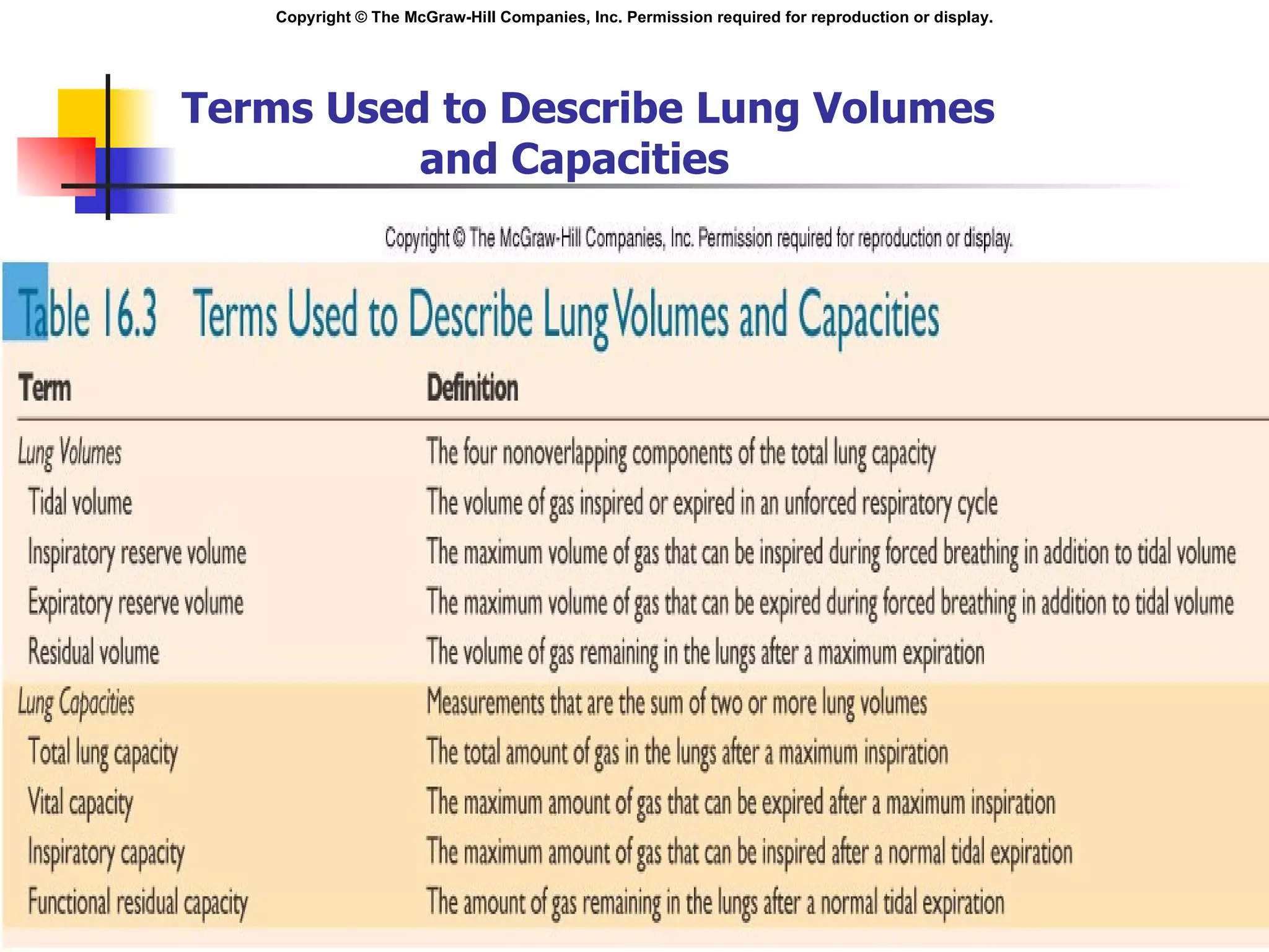 Terms Used to Describe Lung Volumes and Capacities 
