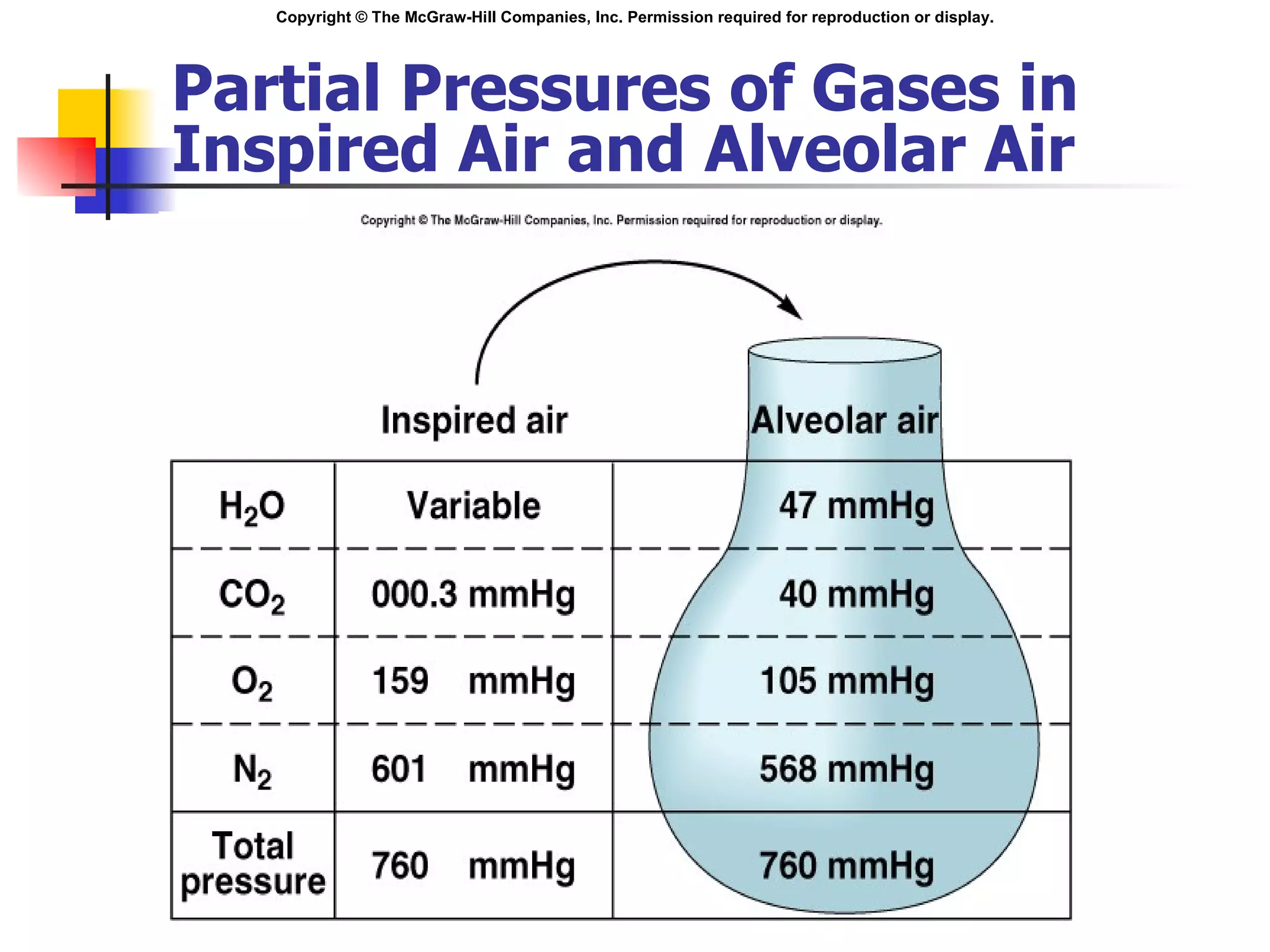Partial Pressures of Gases in Inspired Air and Alveolar Air Insert fig. 16.20 