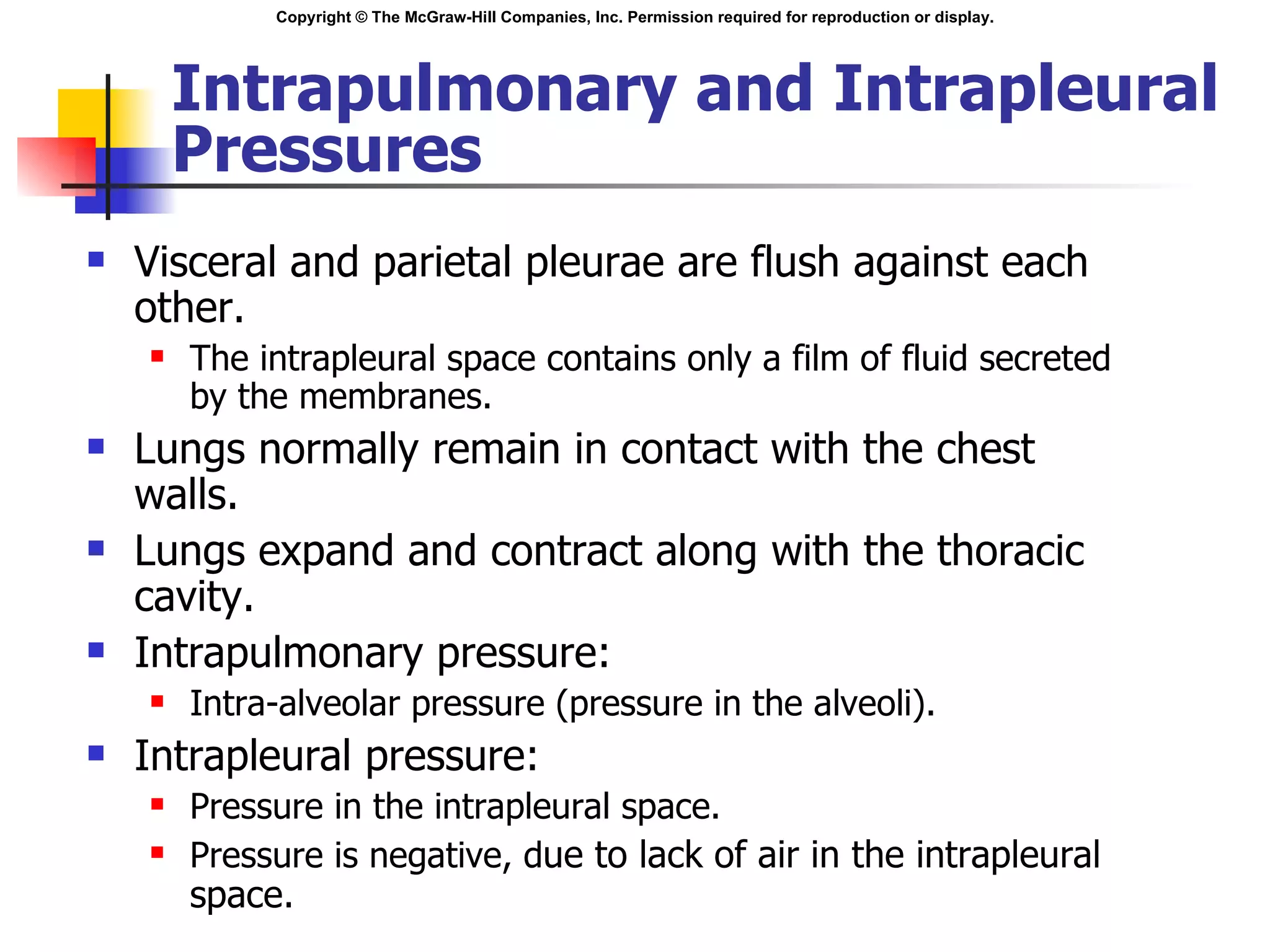 Intrapulmonary and Intrapleural Pressures Visceral and parietal pleurae are flush against each other.  The intrapleural space contains only a film of fluid secreted by the membranes. Lungs normally remain in contact with the chest walls.  Lungs expand and contract along with the thoracic cavity. Intrapulmonary pressure: Intra-alveolar pressure (pressure in the alveoli). Intrapleural pressure: Pressure in the intrapleural space. Pressure is negative, d ue to lack of air in the intrapleural space. 