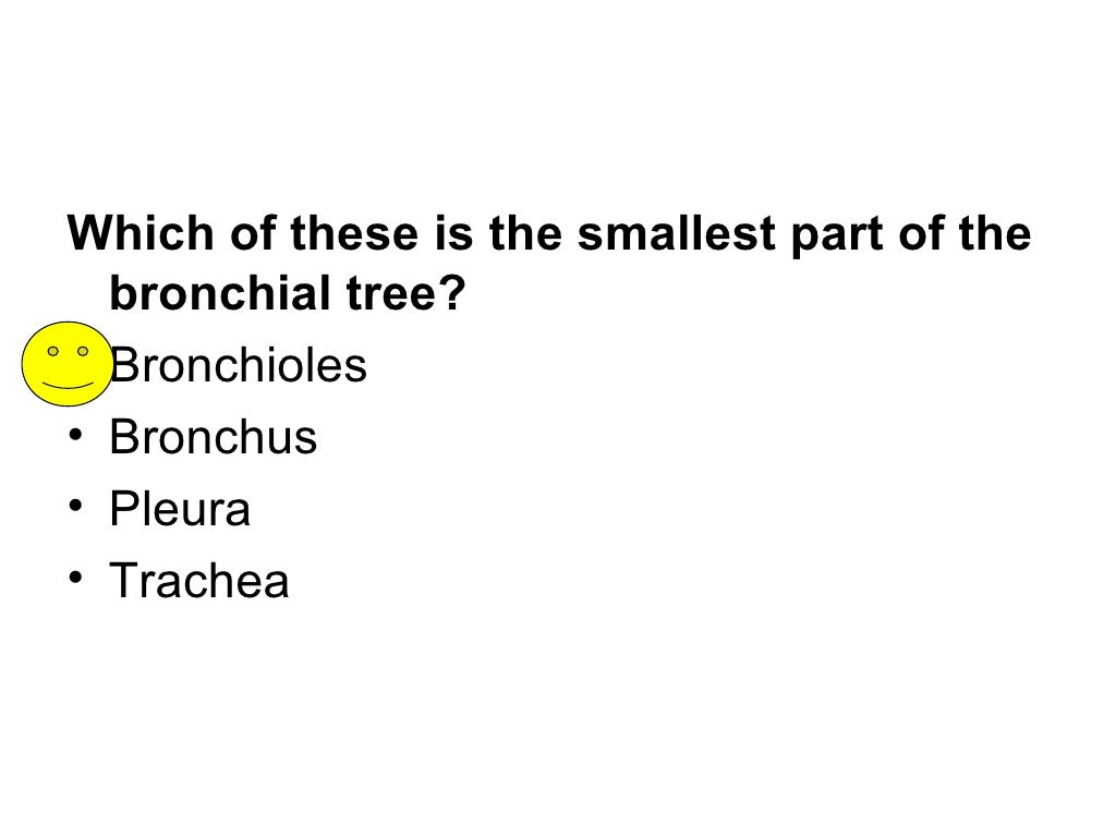 Respiratory system Quiz