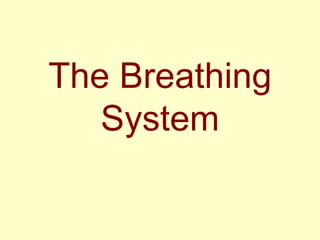 The Breathing System 