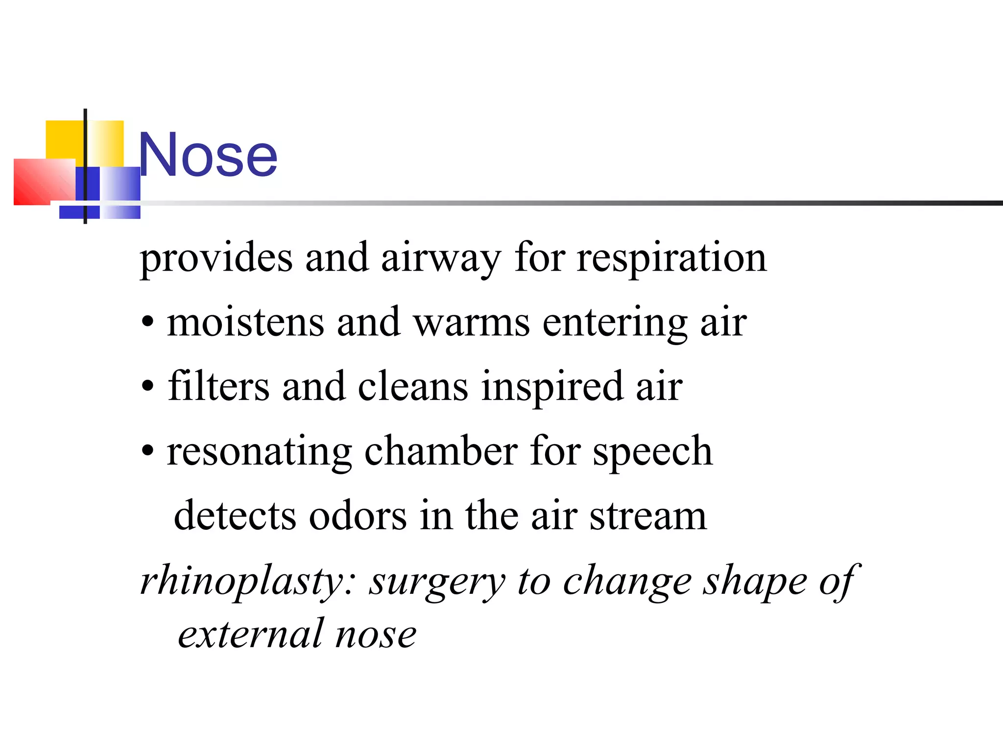 Nose
provides and airway for respiration
• moistens and warms entering air
• filters and cleans inspired air
• resonating chamber for speech
detects odors in the air stream
rhinoplasty: surgery to change shape of
external nose
 