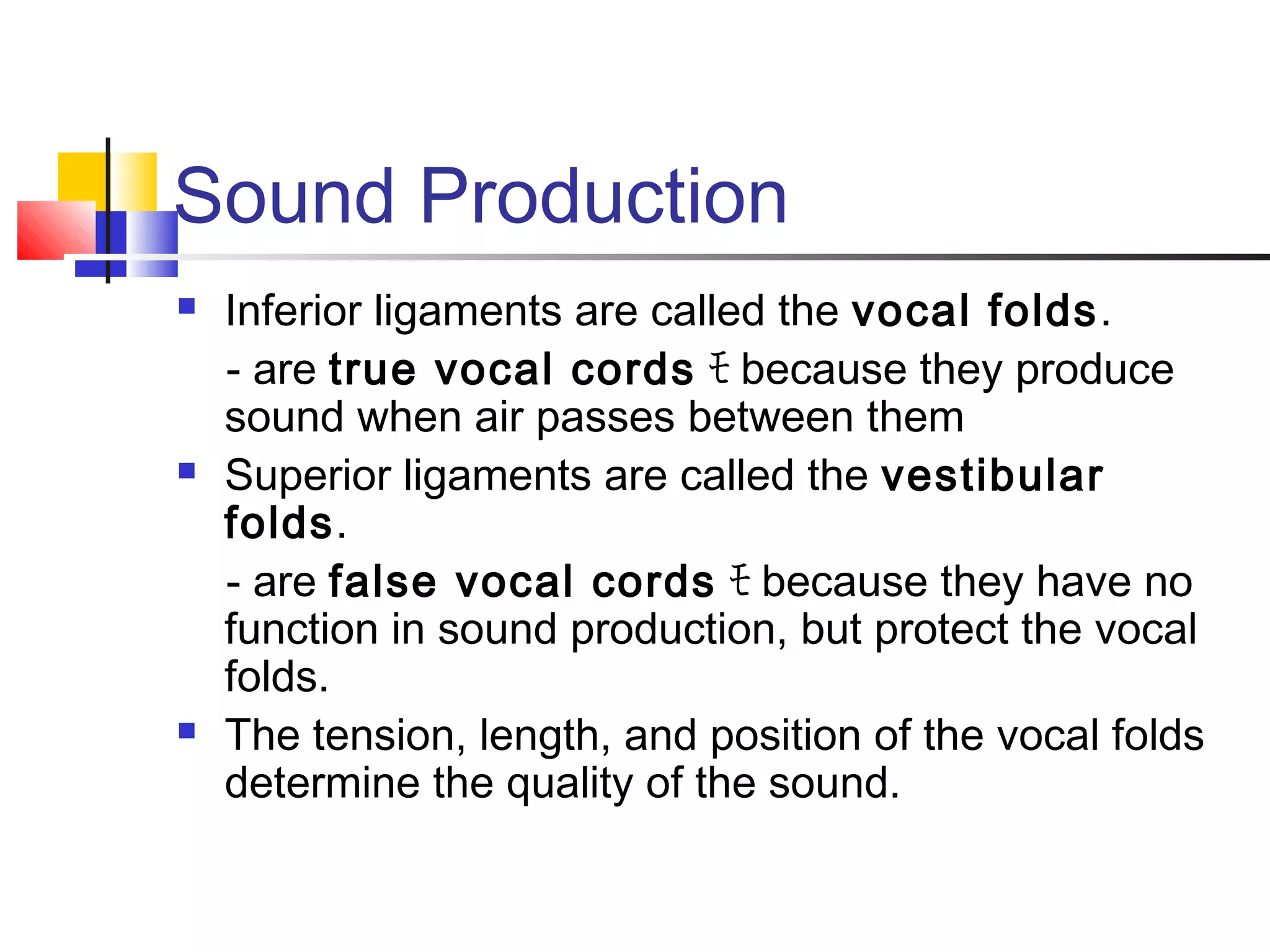 Sound Production
 Inferior ligaments are called the vocal folds.
- are true vocal cords ﾓ because they produce
sound when air passes between them
 Superior ligaments are called the vestibular
folds.
- are false vocal cords ﾓ because they have no
function in sound production, but protect the vocal
folds.
 The tension, length, and position of the vocal folds
determine the quality of the sound.
 