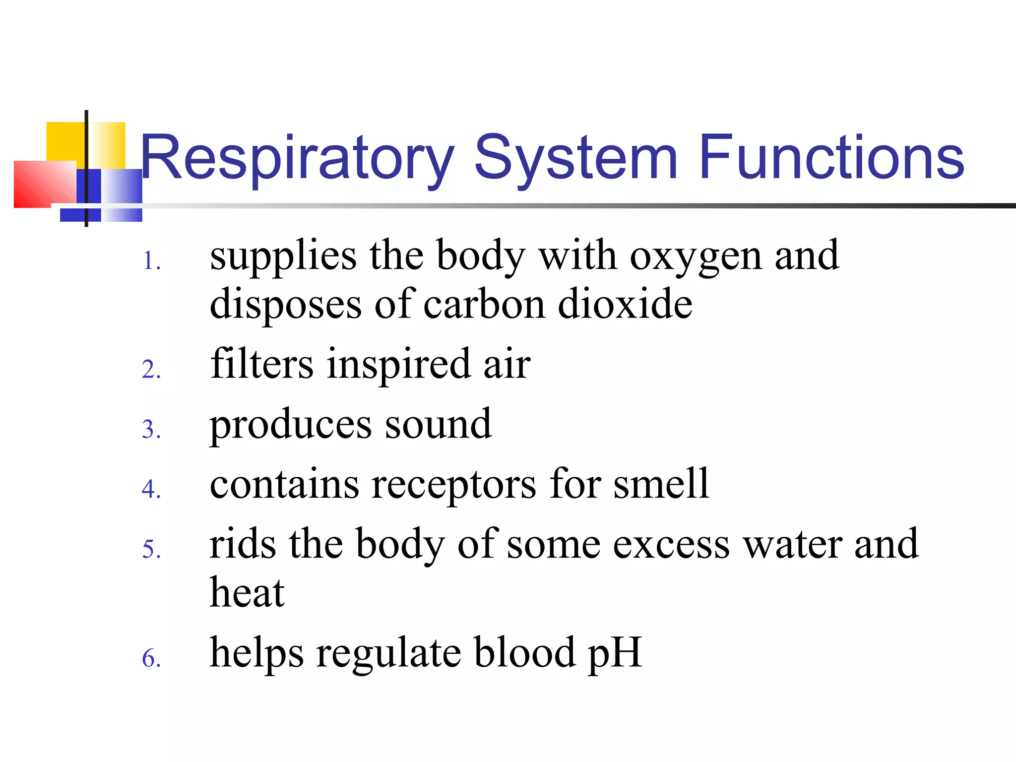 Respiratory System Functions
1. supplies the body with oxygen and
disposes of carbon dioxide
2. filters inspired air
3. produces sound
4. contains receptors for smell
5. rids the body of some excess water and
heat
6. helps regulate blood pH
 