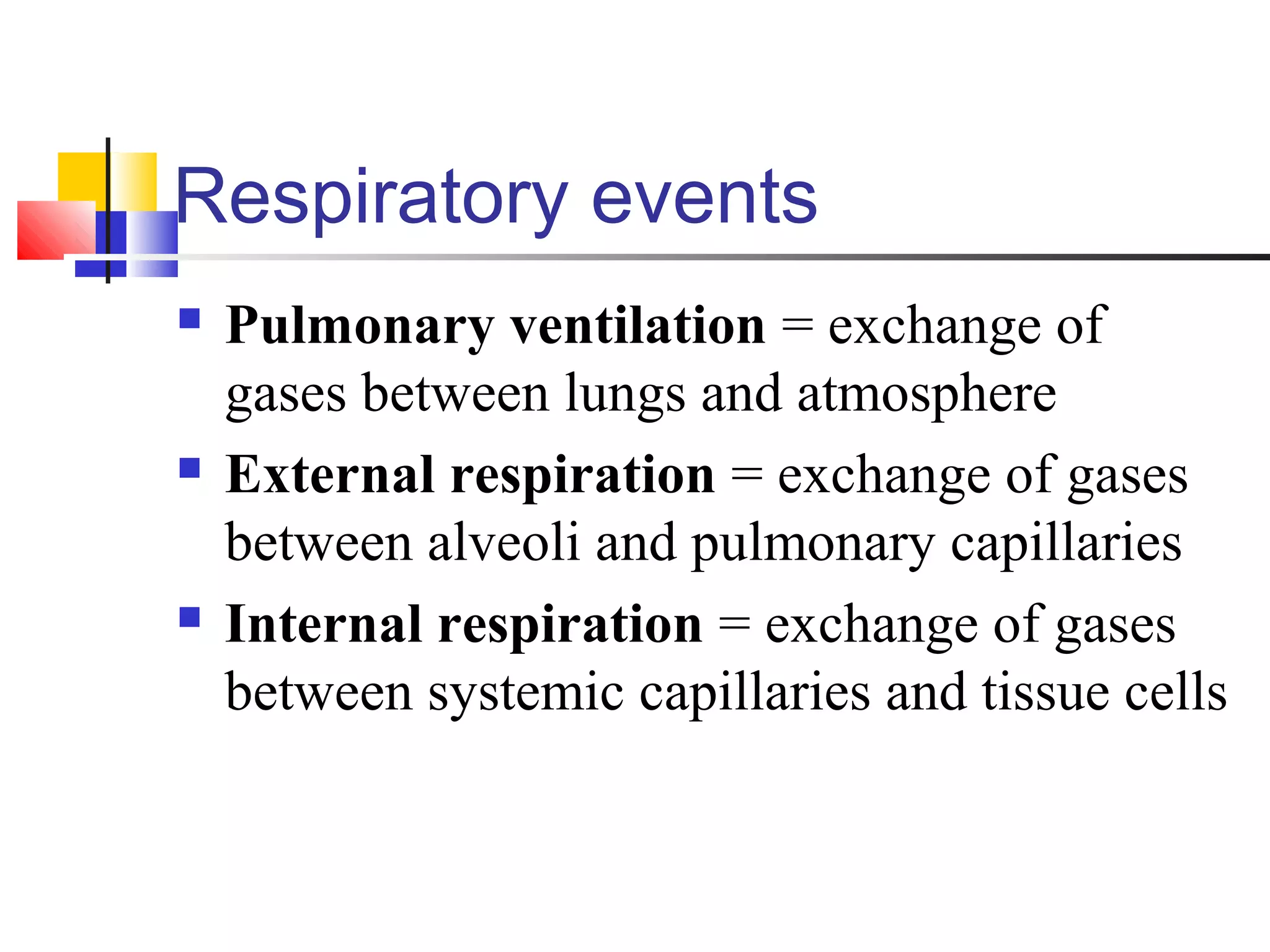 Respiratory events
 Pulmonary ventilation = exchange of
gases between lungs and atmosphere
 External respiration = exchange of gases
between alveoli and pulmonary capillaries
 Internal respiration = exchange of gases
between systemic capillaries and tissue cells
 