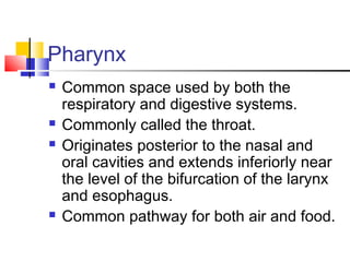 Pharynx
 Common space used by both the
respiratory and digestive systems.
 Commonly called the throat.
 Originates posterior to the nasal and
oral cavities and extends inferiorly near
the level of the bifurcation of the larynx
and esophagus.
 Common pathway for both air and food.
 