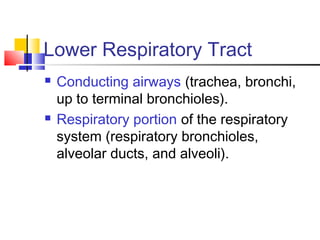 Lower Respiratory Tract
 Conducting airways (trachea, bronchi,
up to terminal bronchioles).
 Respiratory portion of the respiratory
system (respiratory bronchioles,
alveolar ducts, and alveoli).
 