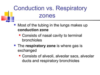 Conduction vs. Respiratory
zones
 Most of the tubing in the lungs makes up
conduction zone
 Consists of nasal cavity to terminal
bronchioles
 The respiratory zone is where gas is
exchanged
 Consists of alveoli, alveolar sacs, alveolar
ducts and respiratory bronchioles
 