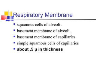 Respiratory Membrane
 squamous cells of alveoli .
 basement membrane of alveoli.
 basement membrane of capillaries
 simple squamous cells of capillaries
 about .5 μ in thickness
 