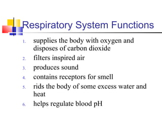 Respiratory System Functions
1. supplies the body with oxygen and
disposes of carbon dioxide
2. filters inspired air
3. produces sound
4. contains receptors for smell
5. rids the body of some excess water and
heat
6. helps regulate blood pH
 
