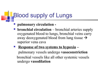 Blood supply of Lungs
 pulmonary circulation -
 bronchial circulation – bronchial arteries supply
oxygenated blood to lungs, bronchial veins carry
away deoxygenated blood from lung tissue 
superior vena cava
 Response of two systems to hypoxia –
pulmonary vessels undergo vasoconstriction
bronchial vessels like all other systemic vessels
undergo vasodilation
 
