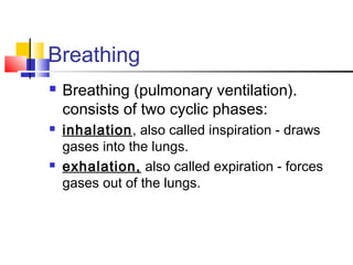 Breathing
 Breathing (pulmonary ventilation).
consists of two cyclic phases:
 inhalation, also called inspiration - draws
gases into the lungs.
 exhalation, also called expiration - forces
gases out of the lungs.
 