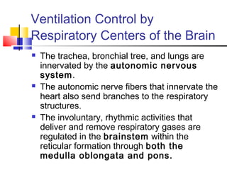 Ventilation Control by
Respiratory Centers of the Brain
 The trachea, bronchial tree, and lungs are
innervated by the autonomic nervous
system.
 The autonomic nerve fibers that innervate the
heart also send branches to the respiratory
structures.
 The involuntary, rhythmic activities that
deliver and remove respiratory gases are
regulated in the brainstem within the
reticular formation through both the
medulla oblongata and pons.
 