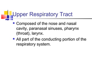 Upper Respiratory Tract
 Composed of the nose and nasal
cavity, paranasal sinuses, pharynx
(throat), larynx.
 All part of the conducting portion of the
respiratory system.
 