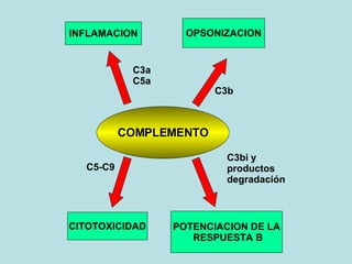 COMPLEMENTO INFLAMACION OPSONIZACION CITOTOXICIDAD POTENCIACION DE LA RESPUESTA B C3b C5-C9 C3bi y productos degradación C3a C5a 
