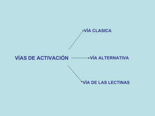 VÍAS DE ACTIVACIÓN VÍA CLASICA VÍA ALTERNATIVA VÍA DE LAS LECTINAS 
